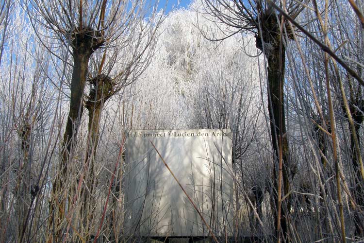 • 400 jaar Pieter Janszoon Saenredam • P.J.S.project© Lucien den Arend • 1982/1985 - ∞ • 1ste maal salix alba witten 09/06/1997•