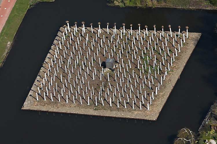 land Art - Pieter Janszoon Saenredam Project 2010 - wit gekalkte stammen.