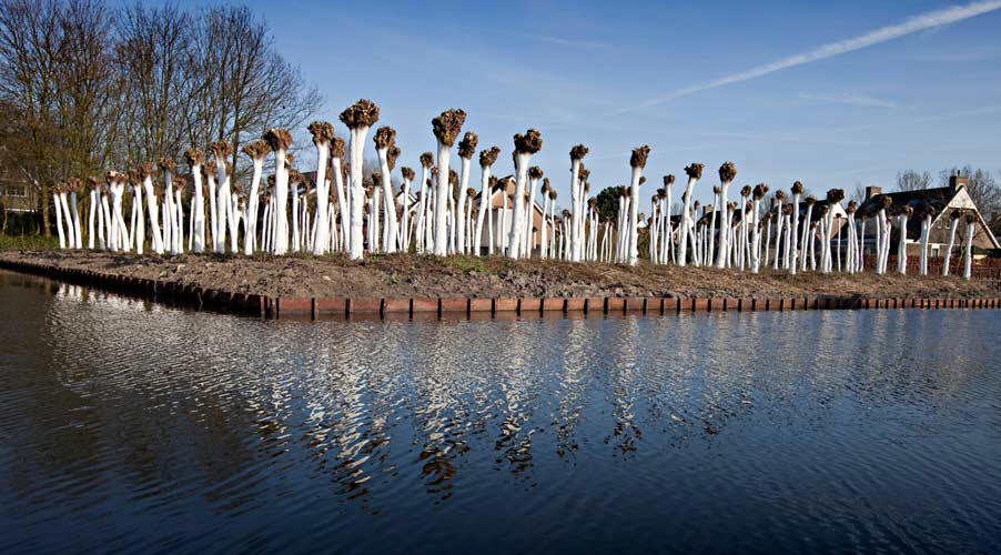 25 jaar Pieter Janszoon Saenredam Stichting.