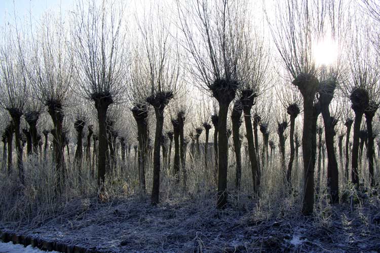 Land Art in Barendrecht, Nederland - het Pieter Janszoon Sanredam Project.